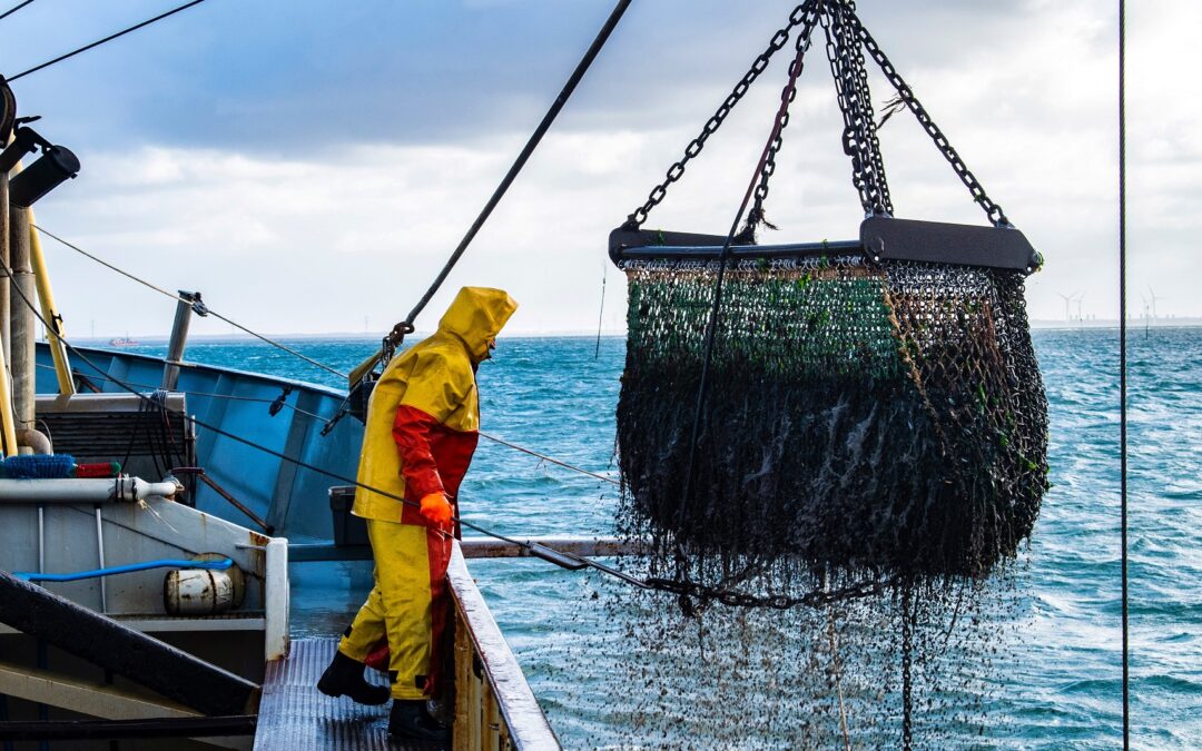Aprobado o acordo sobre pesca entre a UE e o Reino Unido